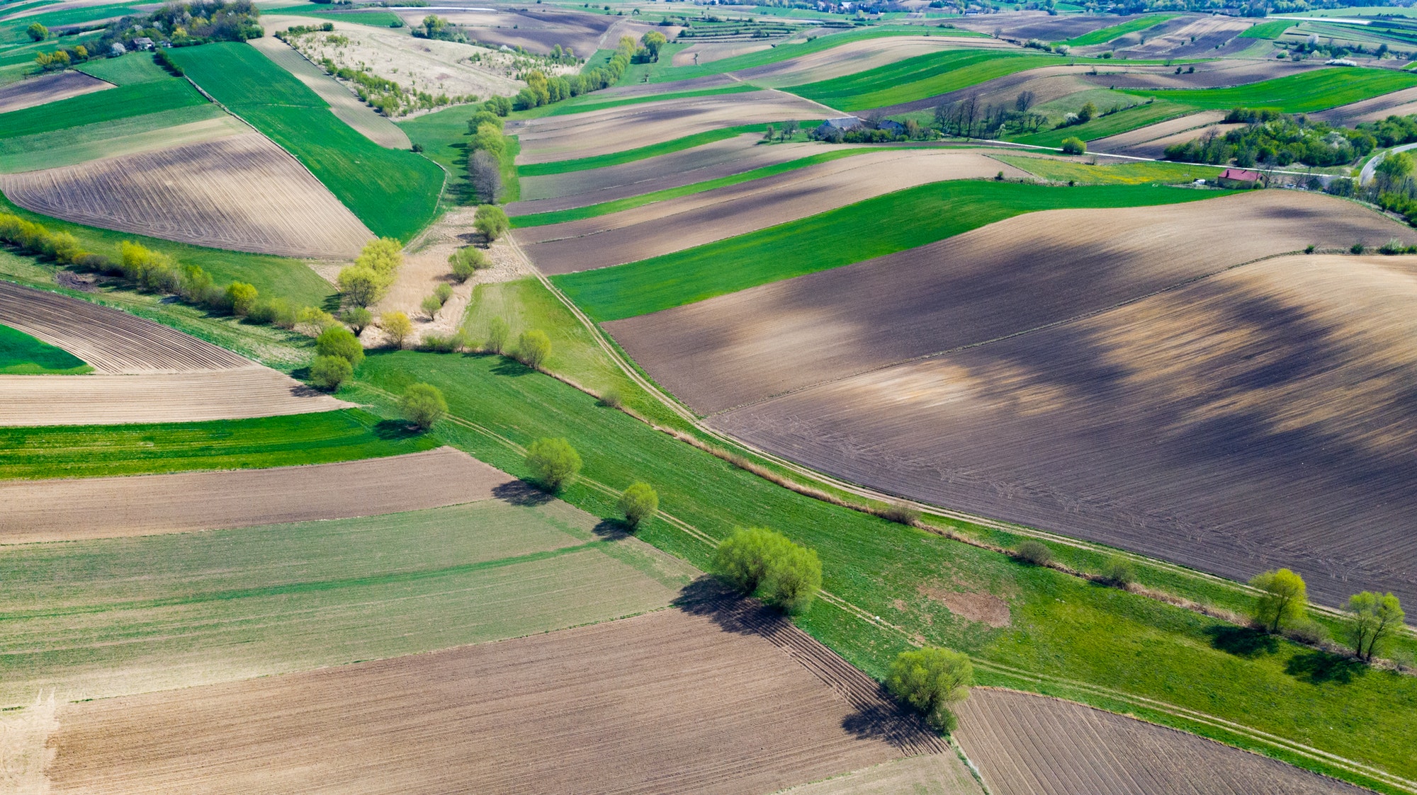 Geometric Farm Fields Shapes. Cultivated Countryside Scenic Landscape. Aerial Drone View